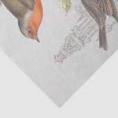 European Robin Bird Garden  ontkoppeling Tissuepapier (Detail)