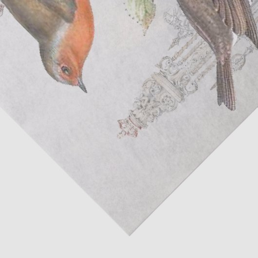 European Robin Bird Garden ontkoppeling Tissuepapier (Detail)