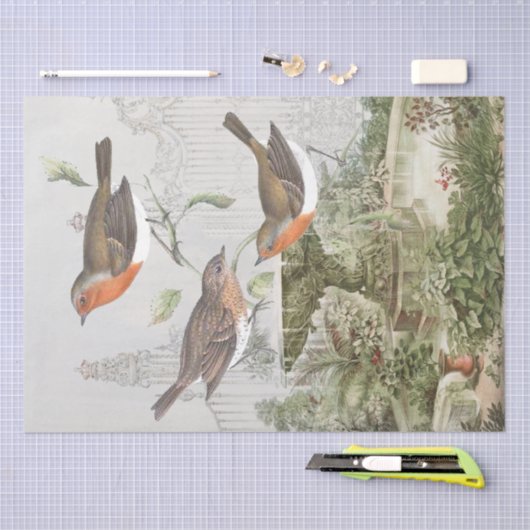 European Robin Bird Garden  ontkoppeling Tissuepapier (Craft)