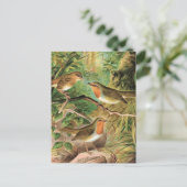 European Robin  Bird Illustration Briefkaart (Staand voorkant)