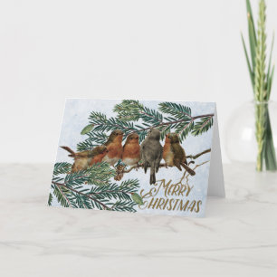 European Robin Birds Kerstfeestay Evergreen Feestdagen Kaart