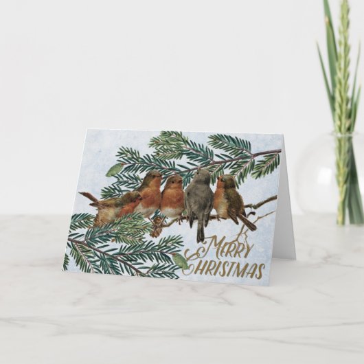European Robin Birds Kerstfeestay Evergreen Feestdagen Kaart (Voorkant)