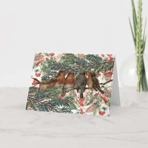 European Robin Birds Kerstfeestay Red Ribbon Feestdagen Kaart