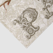 European Robin Birds Nest Paris ontkoppeling Tissuepapier (Detail)