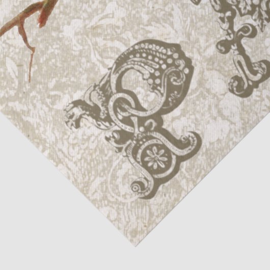 European Robin Birds Nest Paris ontkoppeling Tissuepapier (Detail)