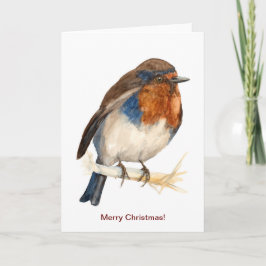 European Robin die naar de linker kerstkaart kijkt Kaart