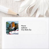 European Robin Feeder Photo Etiket (Insitu)