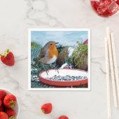 European Robin Feeder Photo Servet (Insitu)