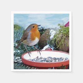 European Robin Feeder Photo Servet