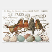 European Robin French Script Nest Egg Postmark Set Inpakpapier Vel (Voorkant 2)