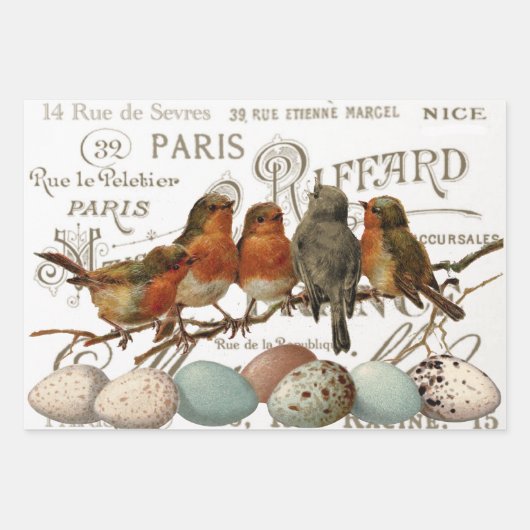 European Robin French Script Nest Egg Postmark Set Inpakpapier Vel (Voorkant 2)