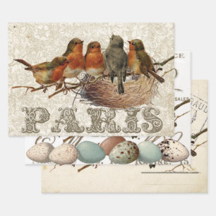 European Robin French Script Nest Egg Postmark Set Inpakpapier Vel