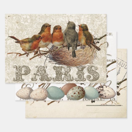 European Robin French Script Nest Egg Postmark Set Inpakpapier Vel (Set)