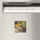 European Robin Fridge Magnet (Insitu (Vaatwasser))
