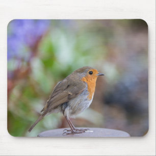 European Robin muis mat Muismat