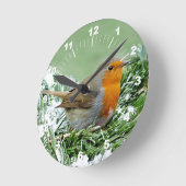 European Robin Pine Snow Foto Ronde Klok (Hoek)
