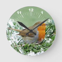 European Robin Pine Snow Foto