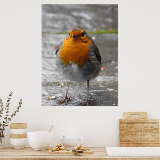 European Robin Poster (Keuken)