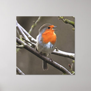 European Robin Red en Grey Painting Canvas Afdruk