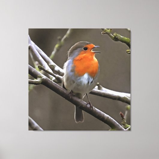 European Robin Red en Grey Painting Canvas Afdruk (Voorkant)