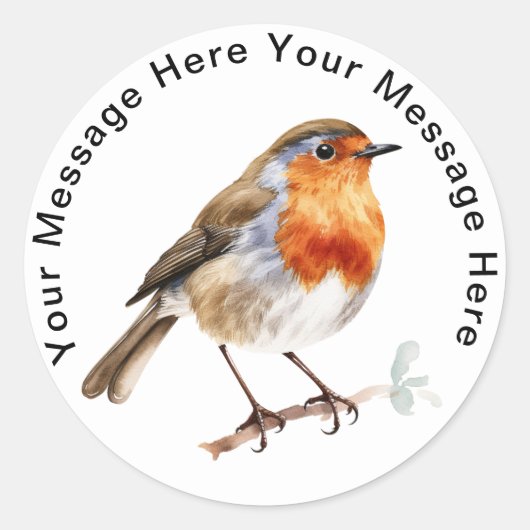 European Robin Ronde Sticker (Voorkant)