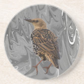 European Starling Bird Coaster Zandsteen Onderzetter (Voorkant)