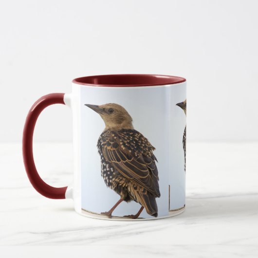 European Starling Bird Mug Mok (Links)