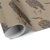 European Starling Bird Wrapping Paper Cadeaupapier (Rol Hoek)