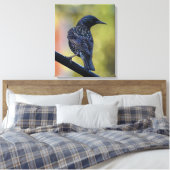 European Starling Canvas Afdruk (Insitu (Slaapkamer))