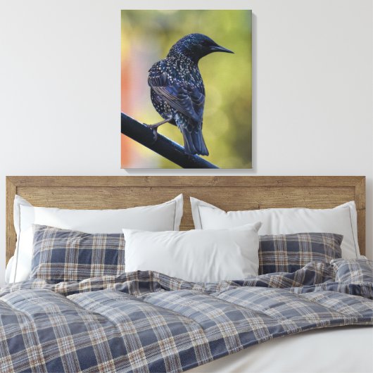European Starling Canvas Afdruk (Insitu (Slaapkamer))