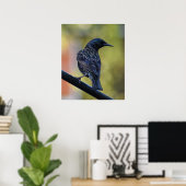 European Starling Poster (Thuiskantoor)