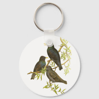 European Starling Sleutelhanger