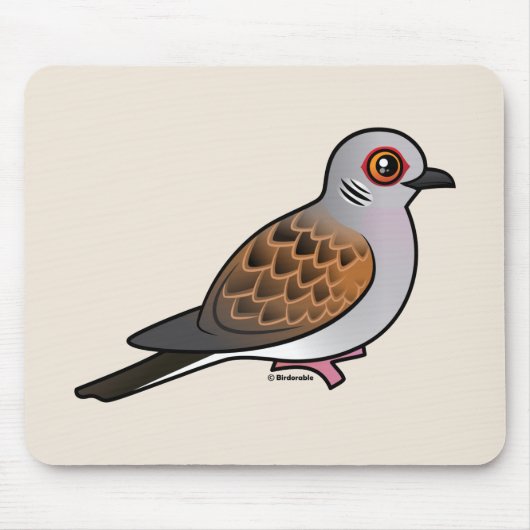 European Turtle Dove Muismat (Voorkant)