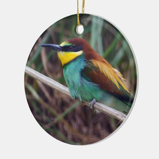 Europees bijeneter keramisch ornament (Links)