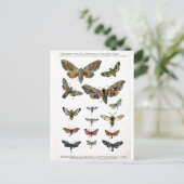 Europees Briefkaart Butterflies (Staand voorkant)