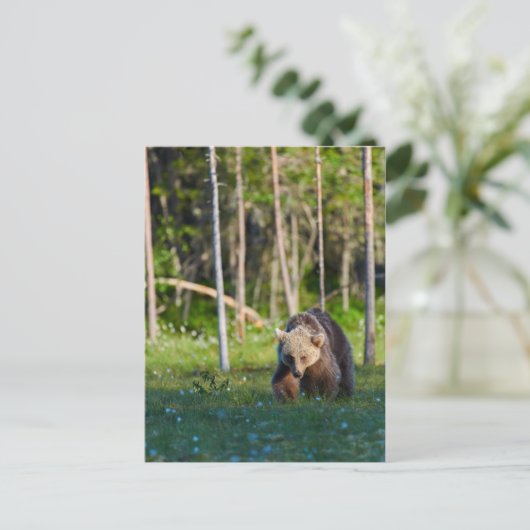 Europees briefkaart van bruin beer (Staand voorkant)