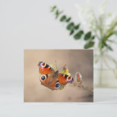 Europees briefkaart voor de vlindervlinder (Staand voorkant)