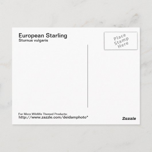Europees Briefkaart voor Starling (Achterkant)