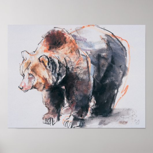 Europees bruin Beer 2001 Poster (Voorkant)