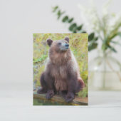 Europees bruin Beer in het Bern Beer Park Briefkaart (Staand voorkant)