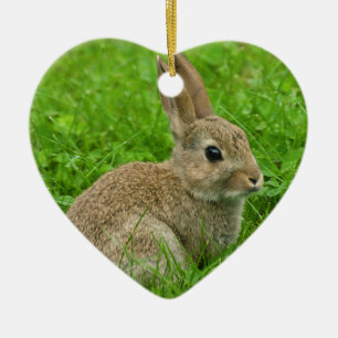 Europees-konijn afbeelding voor Hart Ornament