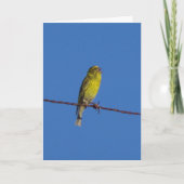 Europees Serin Vogelportret Kaart (Voorkant)