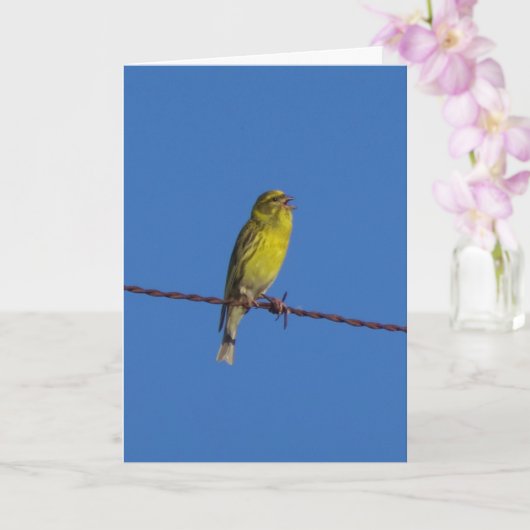 Europees Serin Vogelportret Kaart (Orchidee)