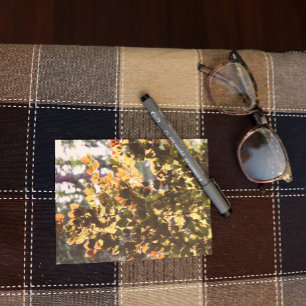 Europese beukenboom briefkaart