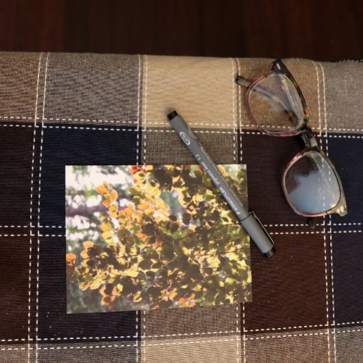 Europese beukenboom briefkaart