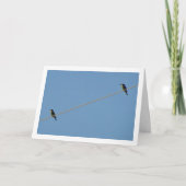 Europese bijentelers op wijn kaart (Voorkant)