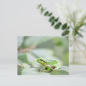 Europese boomkikker in groen briefkaart (Staand voorkant)