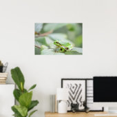 Europese boomkikker in groen poster (Thuiskantoor)