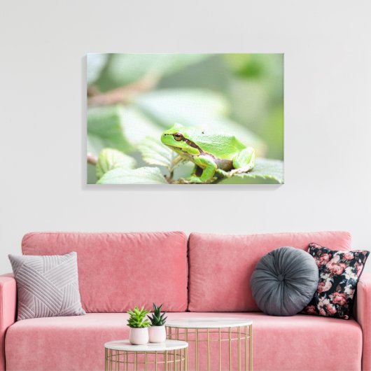 Europese boomkikker in groene canvas print (Insitu (Woonkamer))