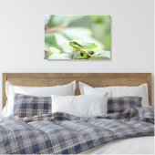 Europese boomkikker in groene canvas print (Insitu (Slaapkamer))